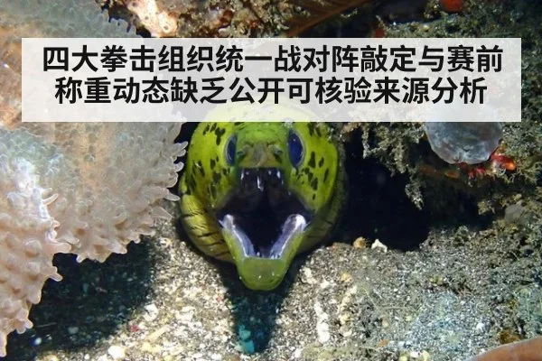 四大拳击组织统一战对阵敲定与赛前称重动态缺乏公开可核验来源分析
